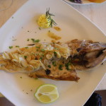 grillad fisk GC 2013