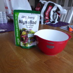 laxsallad med alger 1