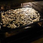 Rostade pumpakärnor making 3